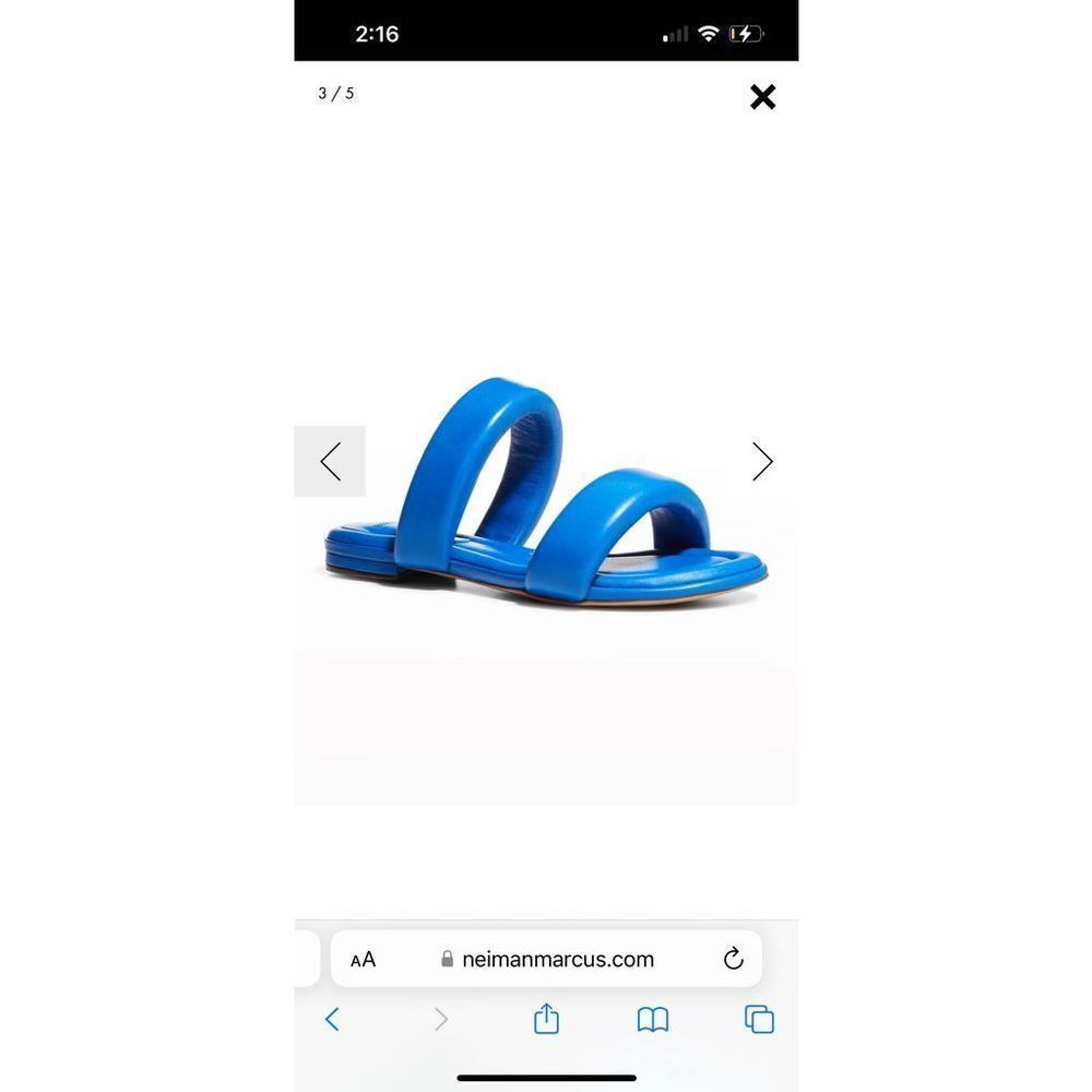 Alexandre Birman saddles 